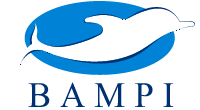 bampi